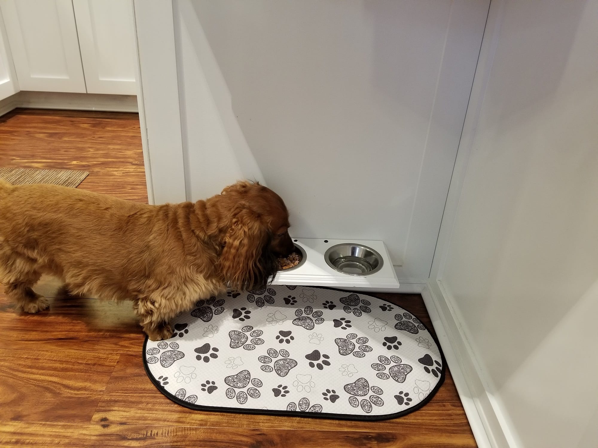 Wooden Pet Food Bowl Holder  Holds 4 Half Pint Pet Bowls